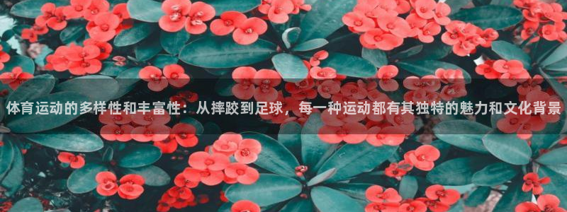 米兰体育官网下载招商电话号码是多少：体育运动的多样性