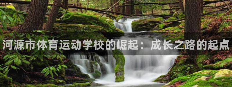 米兰体育官网下载平台是正规平台吗：河源市体育运动学校