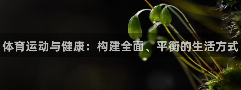 米兰体育官网下载招商电话地址查询