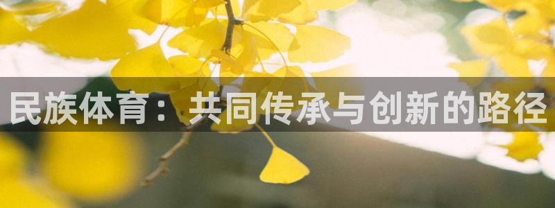 米兰体育官网下载平台注册要钱吗安全吗：民族体育：共同