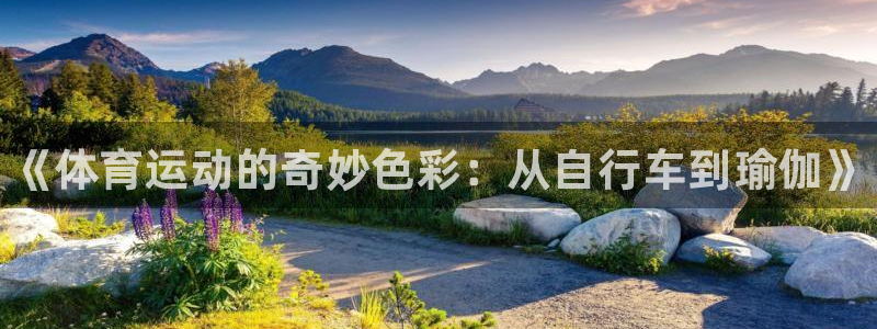 米兰体育官方正版app娱乐平台：《体育运动的奇妙色彩：从自行