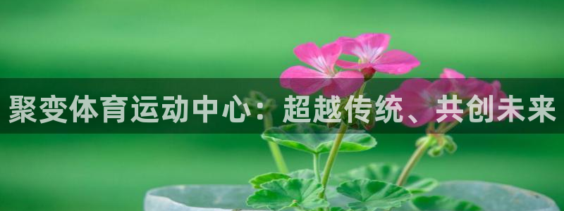 米兰体育官方正版app五金厂：聚变体育运动中心：超越
