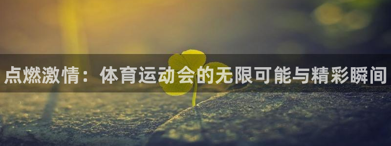 米兰体育官网下载招商电话：点燃激情：体育运动会的无限可能与精