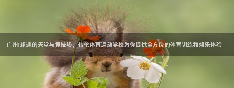 米兰体育官网下载招商电话是多少号码：广州:球迷的天堂与竞技场