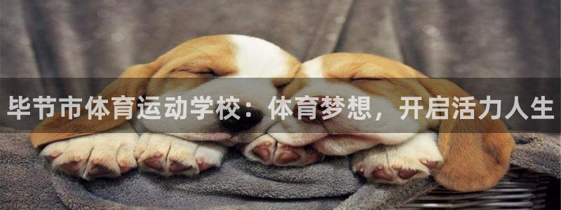 米兰体育官方正版app娱乐是那个系列的台子：毕节市体育运动学