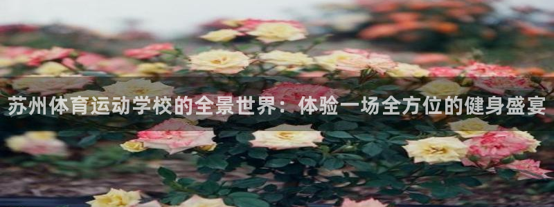 米兰体育官网下载开户：苏州体育运动学校的全景世界：体验一场全
