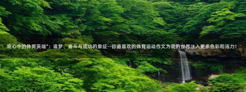 注册米兰体育官方正版app：我心中的体育英雄\