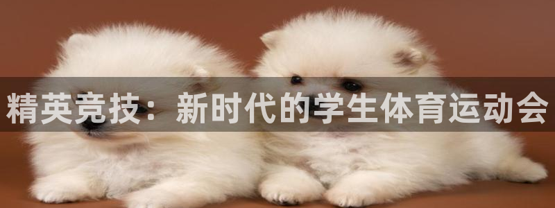 米兰体育官网下载平台注册流程视频：精英竞技：新时代的