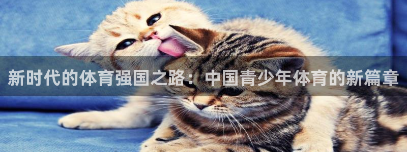 米兰体育官网下载招商电话地址查询：新时代的体育强国之路：中国