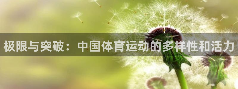 米兰体育官网下载平台注册流程图：极限与突破：中国体育运动的多