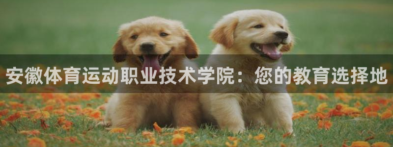 米兰体育官网下载开户：安徽体育运动职业技术学院：您的教育选择