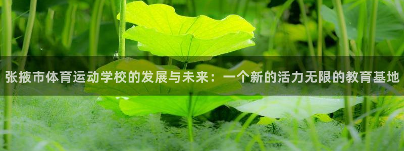 米兰体育官网下载平台注册：张掖市体育运动学校的发展与