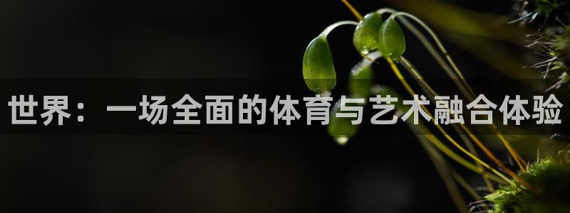 米兰体育官方正版app官网