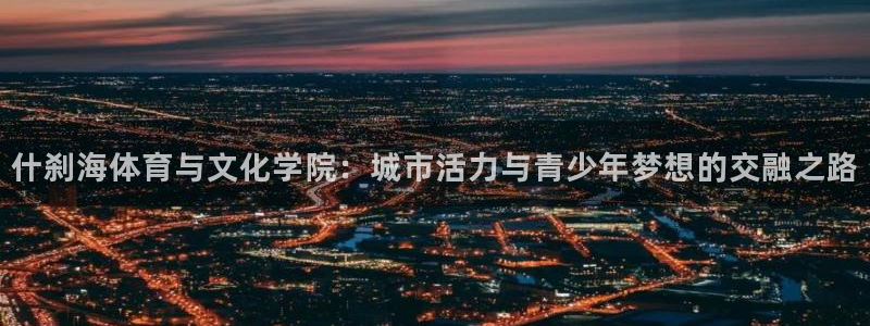 米兰体育官方正版app官方：什刹海体育与文化学院：城市活力与