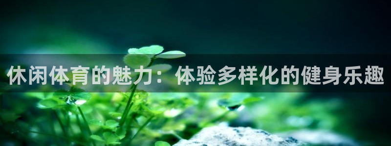 米兰体育官方正版app新能源：休闲体育的魅力：体验多样化的健