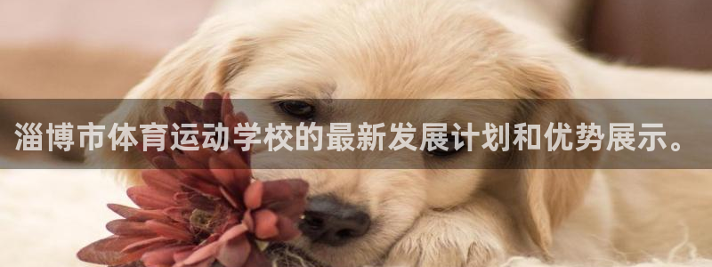 米兰体育官网下载平台是正规平台吗知乎