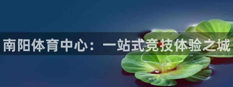 米兰体育官网下载招商：南阳体育中心：一站式竞技体验之城