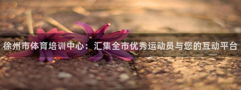 米兰体育官方正版app官方