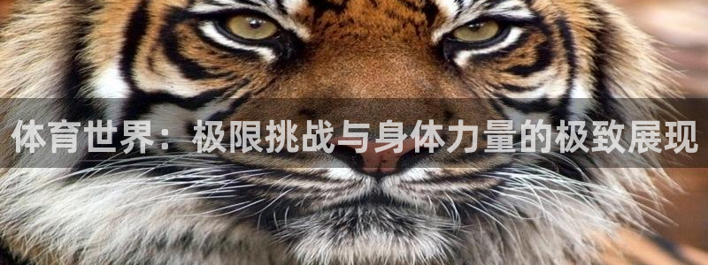 米兰体育官网下载平台注册流程视频