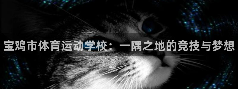 米兰体育官网下载平台注册流程图：宝鸡市体育运动学校：一隅之地
