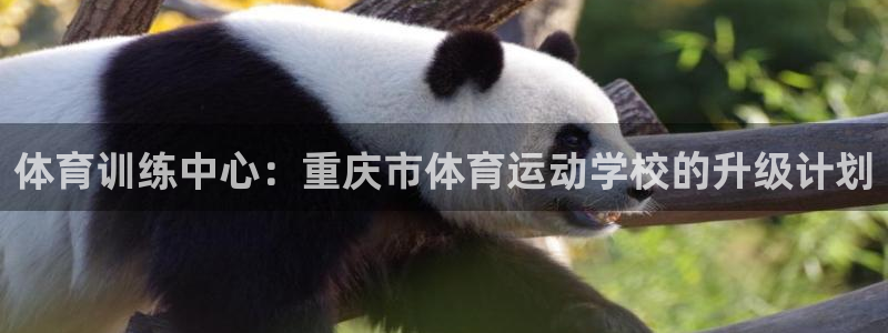 米兰体育官方正版app开户：体育训练中心：重庆市体育运动学校