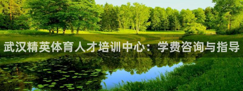 米兰体育官方正版app娱乐是那个系列的台子：武汉精英体育人才