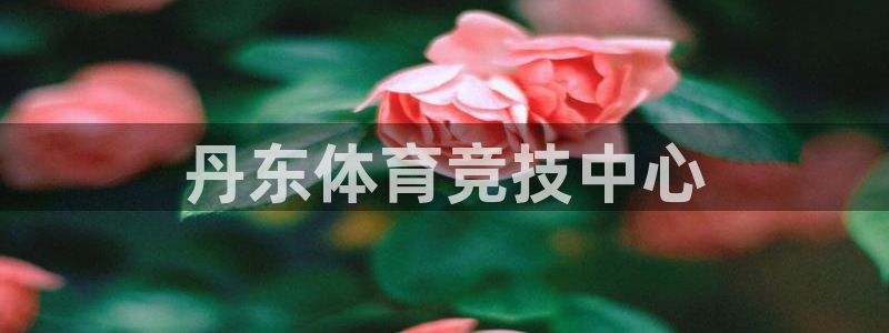 米兰体育官网下载平台是正规平台吗知乎：丹东体育竞技中