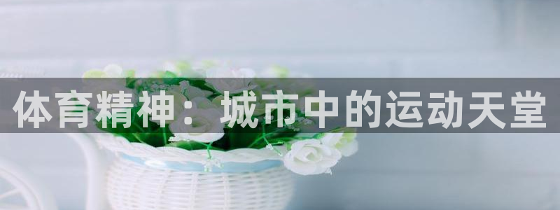 米兰体育官网下载招商电话是多少号码：体育精神：城市中的运动天